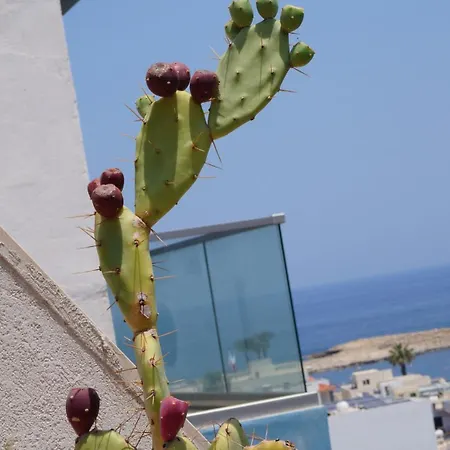 Leo * Σεντ Πόλς Μπέι